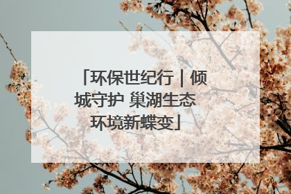 环保世纪行｜倾城守护 巢湖生态环境新蝶变