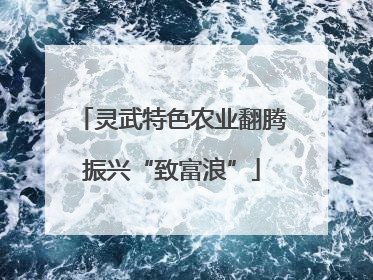 灵武特色农业翻腾振兴“致富浪”