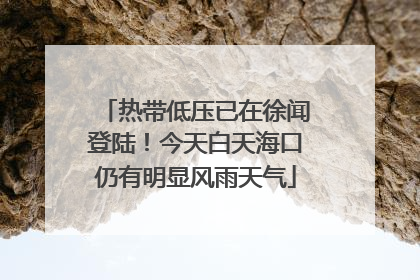 热带低压已在徐闻登陆！今天白天海口仍有明显风雨天气