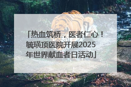 热血筑桥，医者仁心！毓璜顶医院开展2025年世界献血者日活动