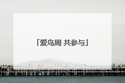 爱鸟周 共参与