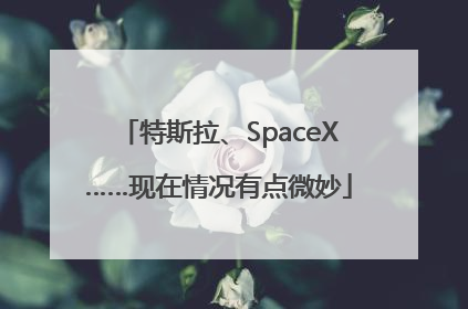 特斯拉、SpaceX……现在情况有点微妙