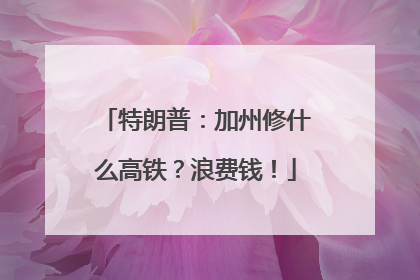 特朗普：加州修什么高铁？浪费钱！