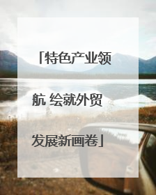 特色产业领航 绘就外贸发展新画卷