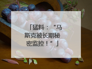 猛料：“马斯克被长期秘密监控！”