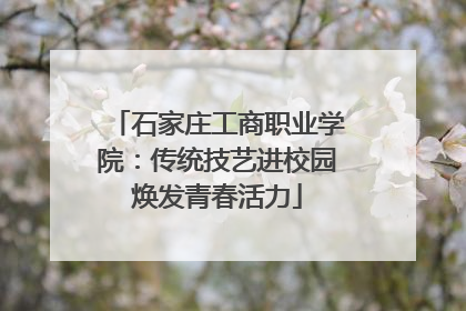 石家庄工商职业学院：传统技艺进校园焕发青春活力