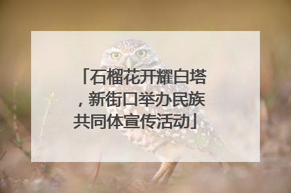 石榴花开耀白塔，新街口举办民族共同体宣传活动