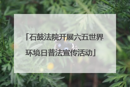 石鼓法院开展六五世界环境日普法宣传活动