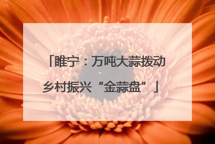 睢宁：万吨大蒜拨动乡村振兴“金蒜盘”