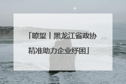 瞭望丨黑龙江省政协精准助力企业纾困