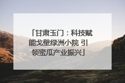 甘肃玉门：科技赋能戈壁绿洲小院 引领蜜瓜产业振兴