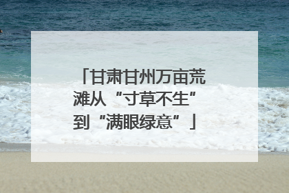 甘肃甘州万亩荒滩从“寸草不生”到“满眼绿意”