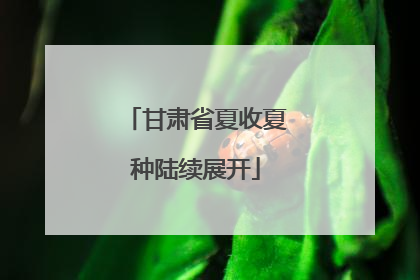 甘肃省夏收夏种陆续展开