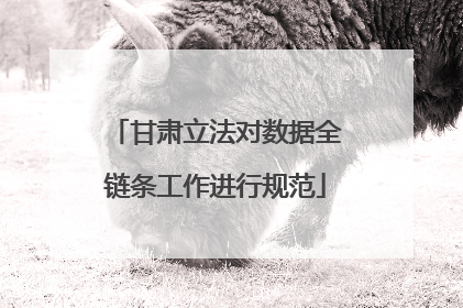 甘肃立法对数据全链条工作进行规范