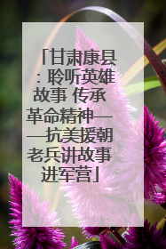 甘肃康县：聆听英雄故事 传承革命精神——抗美援朝老兵讲故事进军营
