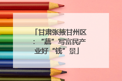 甘肃张掖甘州区：“蔬”写富民产业好“钱”景
