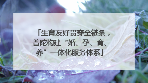 生育友好贯穿全链条，普陀构建“婚、孕、育、养”一体化服务体系