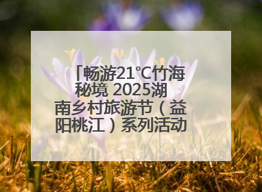 畅游21℃竹海秘境 2025湖南乡村旅游节（益阳桃江）系列活动5月29日启幕