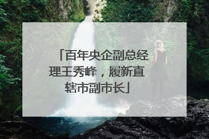 百年央企副总经理王秀峰，履新直辖市副市长