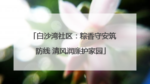 白沙湾社区：粽香守安筑防线 清风润廉护家园