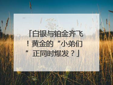 白银与铂金齐飞！黄金的“小弟们”正同时爆发？