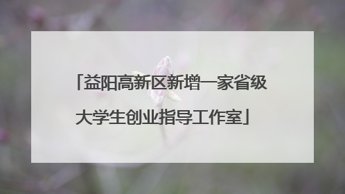 益阳高新区新增一家省级大学生创业指导工作室
