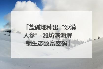 盐碱地种出“沙漠人参” 潍坊滨海解锁生态致富密码