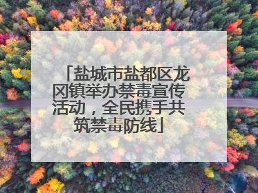 盐城市盐都区龙冈镇举办禁毒宣传活动，全民携手共筑禁毒防线
