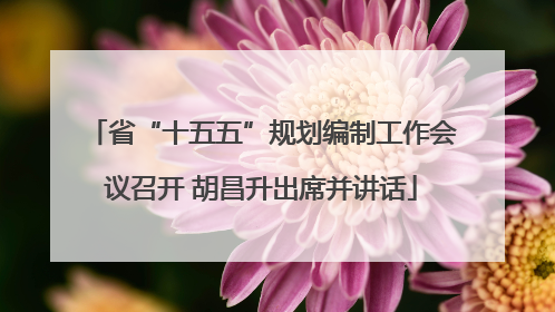 省“十五五”规划编制工作会议召开 胡昌升出席并讲话