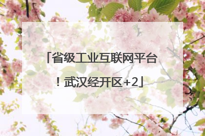 省级工业互联网平台！武汉经开区+2