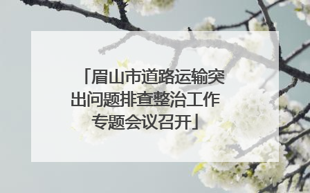 眉山市道路运输突出问题排查整治工作专题会议召开