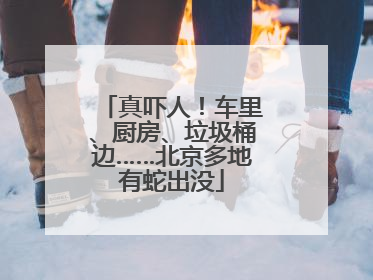 真吓人！车里、厨房、垃圾桶边……北京多地有蛇出没