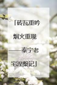 砖瓦重吟 烟火重现——泰宁老宅涅槃记