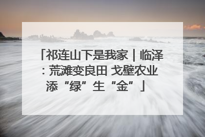 祁连山下是我家｜临泽：荒滩变良田 戈壁农业添“绿”生“金”