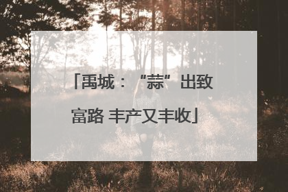 禹城：“蒜”出致富路 丰产又丰收