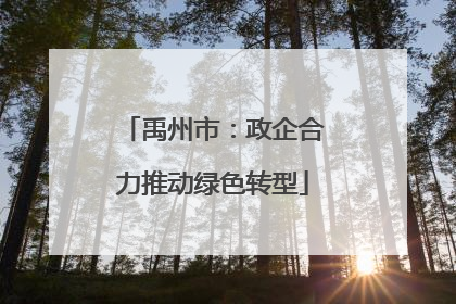 禹州市：政企合力推动绿色转型