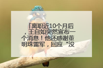 离职近10个月后，王自如突然宣布一个消息！他还感谢董明珠雷军，回应“没看过格力工资条”：真的不那么重要！