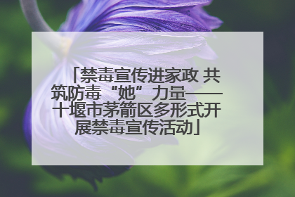 禁毒宣传进家政 共筑防毒“她”力量——十堰市茅箭区多形式开展禁毒宣传活动