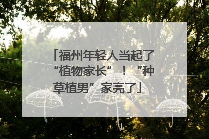 福州年轻人当起了“植物家长”！“种草植男”家亮了