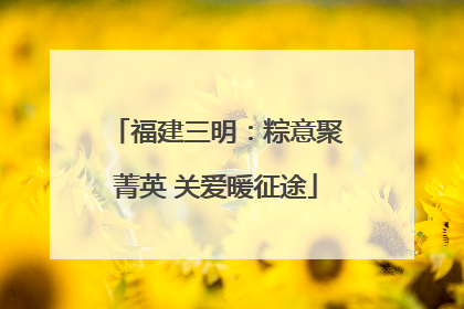 福建三明：粽意聚菁英 关爱暖征途