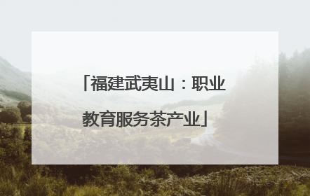 福建武夷山：职业教育服务茶产业