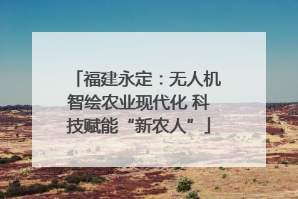 福建永定：无人机智绘农业现代化 科技赋能“新农人”