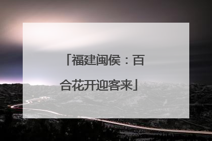 福建闽侯：百合花开迎客来