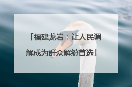 福建龙岩：让人民调解成为群众解纷首选