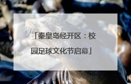 秦皇岛经开区：校园足球文化节启幕
