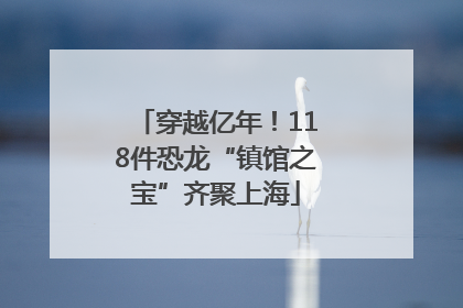 穿越亿年！118件恐龙“镇馆之宝”齐聚上海