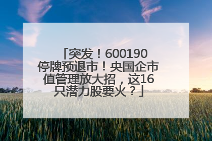 突发！600190停牌预退市！央国企市值管理放大招，这16只潜力股要火？