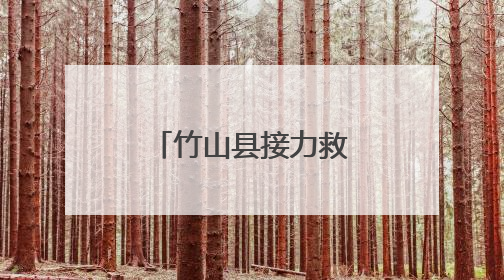 竹山县接力救助国家一级保护动物海南鳽