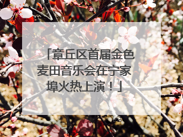 章丘区首届金色麦田音乐会在宁家埠火热上演！