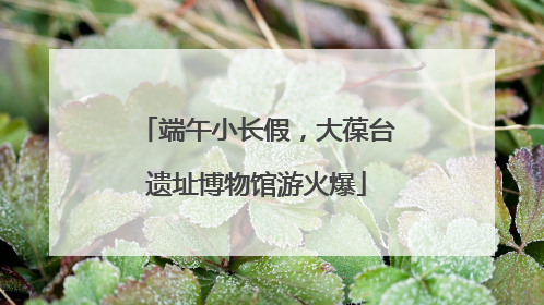 端午小长假，大葆台遗址博物馆游火爆